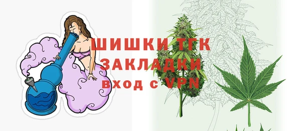 СК Новозыбков