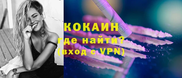 СК Новозыбков