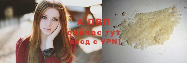 первитин Новодвинск