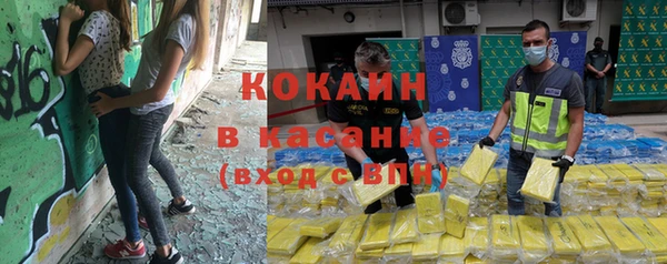 СК Новозыбков
