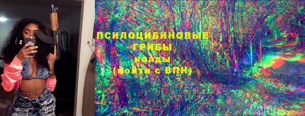 первитин Новодвинск