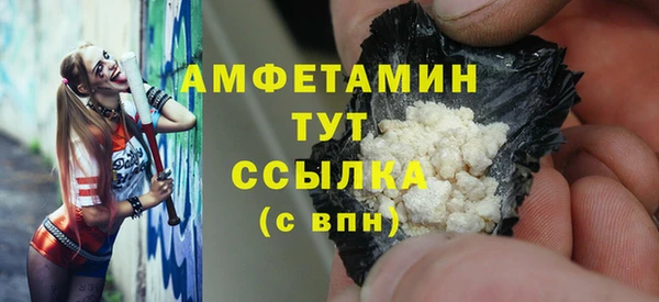 СК Новозыбков