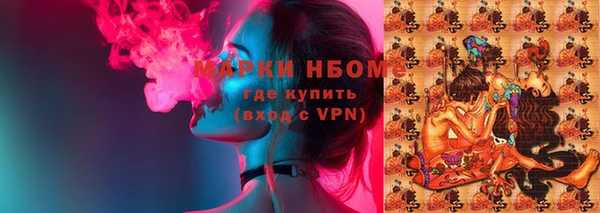 СК Новозыбков