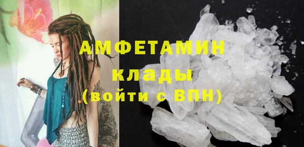 СК Новозыбков