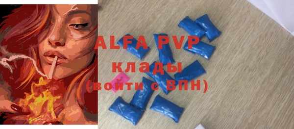 СК Новозыбков