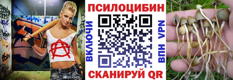 Галлюциногенные грибы Psilocybe  Купить где  Руза 